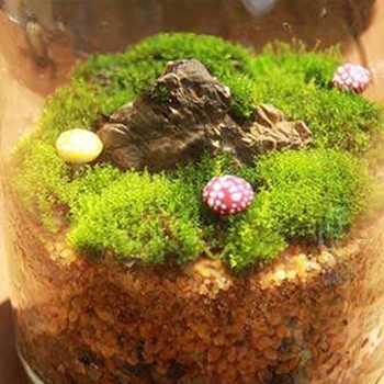 4 Estilos Natural Moss Acessórios De Vida Moss Viver Almofada De Répteis Terrário Bonsai, Decoração De Floresta Natural Tapete De Decoração De Jardim
